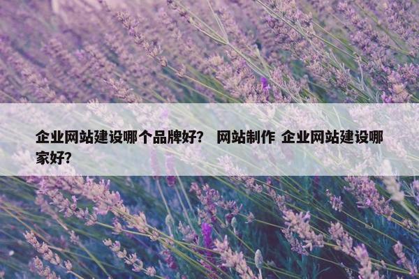 企业网站建设哪个品牌好？ 网站制作 企业网站建设哪家好？