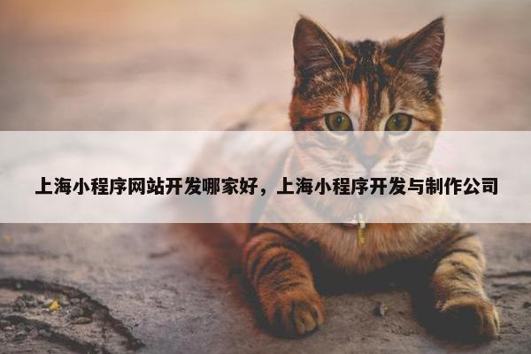 上海小程序网站开发哪家好，上海小程序开发与制作公司