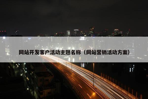 网站开发客户活动主题名称（网站营销活动方案）