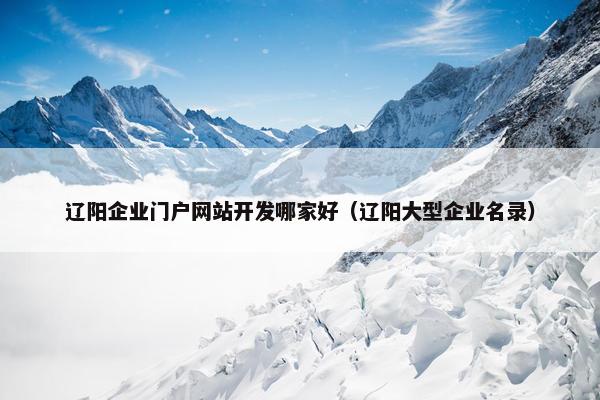 辽阳企业门户网站开发哪家好（辽阳大型企业名录）