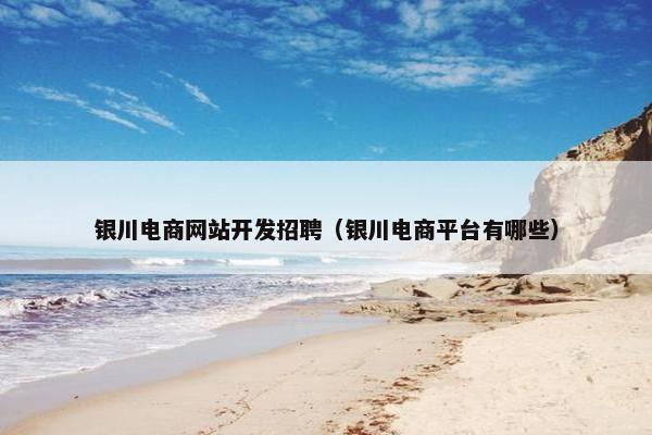 银川电商网站开发招聘（银川电商平台有哪些）