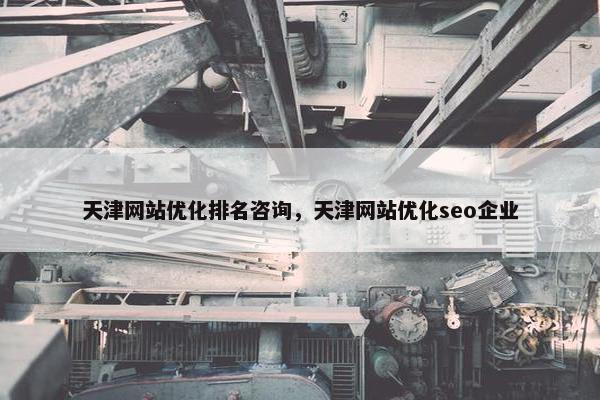 天津网站优化排名咨询，天津网站优化seo企业