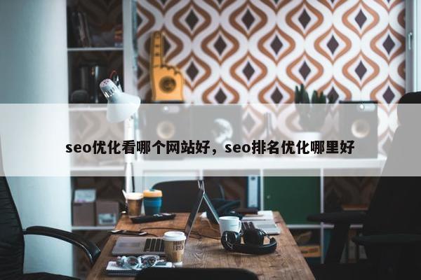 seo优化看哪个网站好，seo排名优化哪里好