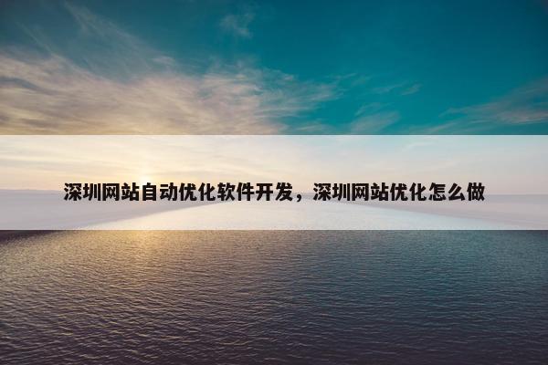 深圳网站自动优化软件开发，深圳网站优化怎么做