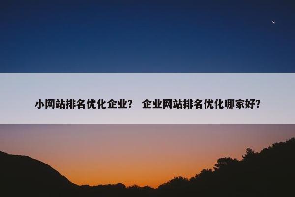 小网站排名优化企业？ 企业网站排名优化哪家好？