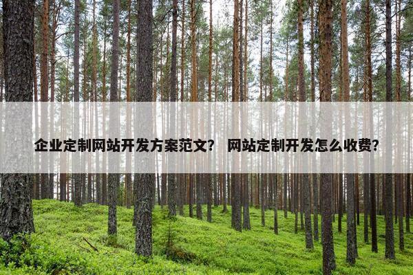 企业定制网站开发方案范文？ 网站定制开发怎么收费？