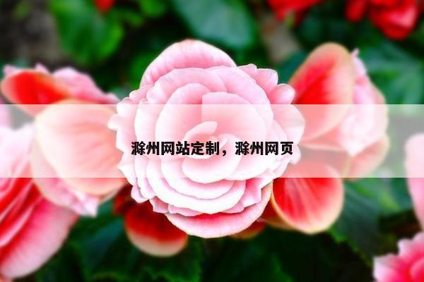 滁州网站定制，滁州网页