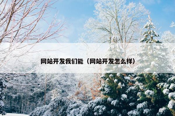 网站开发我们能（网站开发怎么样）