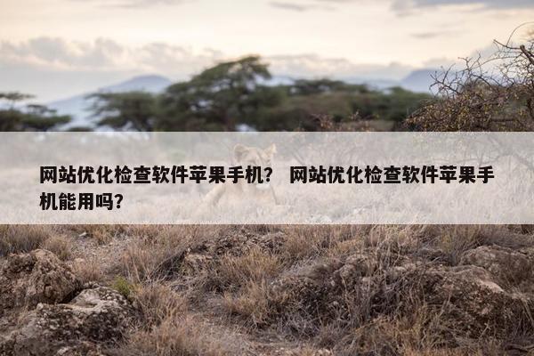 网站优化检查软件苹果手机？ 网站优化检查软件苹果手机能用吗？