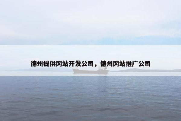 德州提供网站开发公司，德州网站推广公司