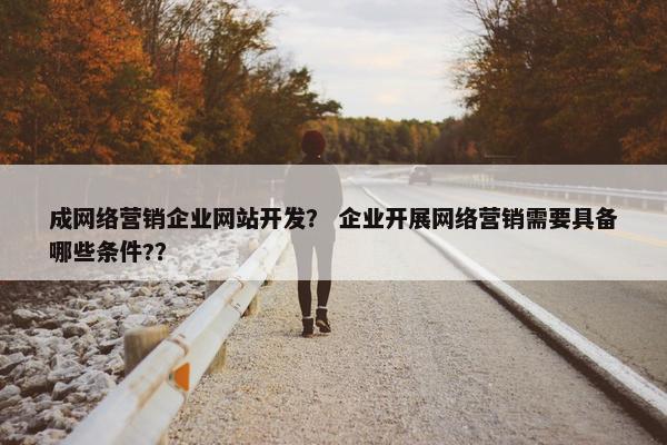成网络营销企业网站开发？ 企业开展网络营销需要具备哪些条件?？