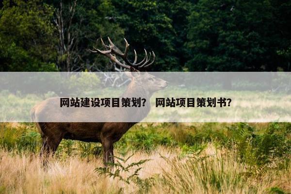 网站建设项目策划？ 网站项目策划书？
