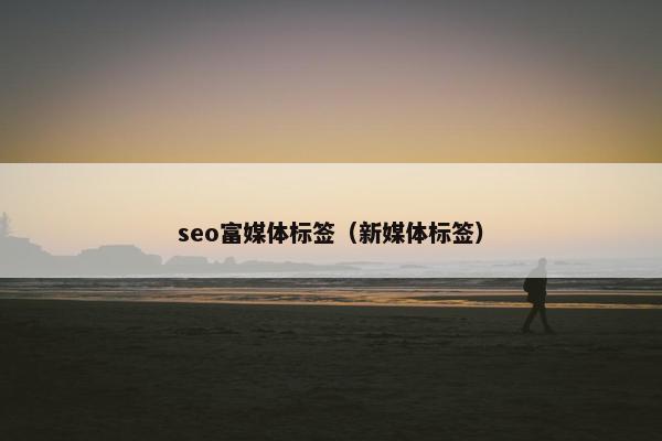 seo富媒体标签（新媒体标签）