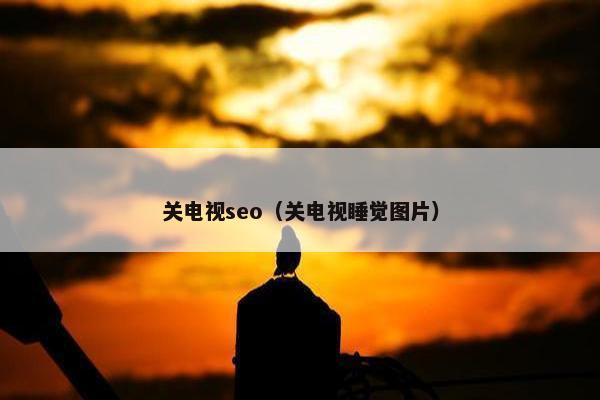 关电视seo（关电视睡觉图片）