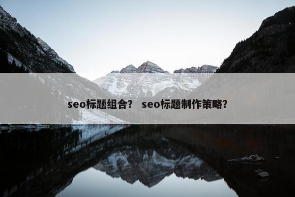 seo标题组合？ seo标题制作策略？