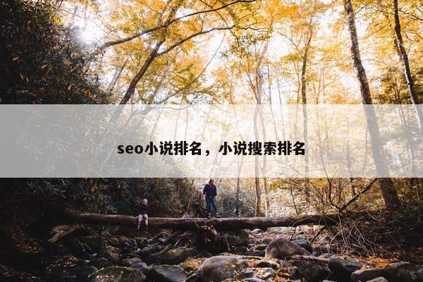 seo小说排名，小说搜索排名