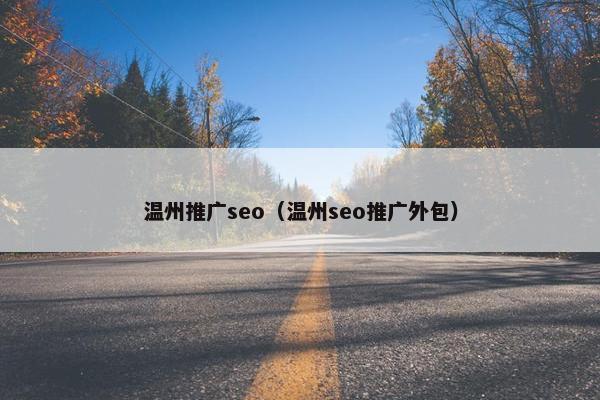 温州推广seo（温州seo推广外包）