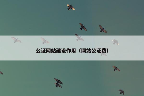 公证网站建设作用（网站公证费）