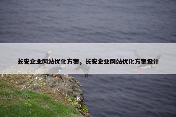 长安企业网站优化方案，长安企业网站优化方案设计