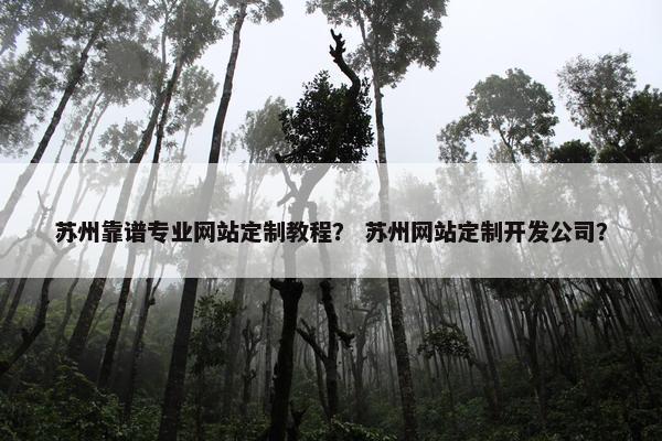 苏州靠谱专业网站定制教程？ 苏州网站定制开发公司？