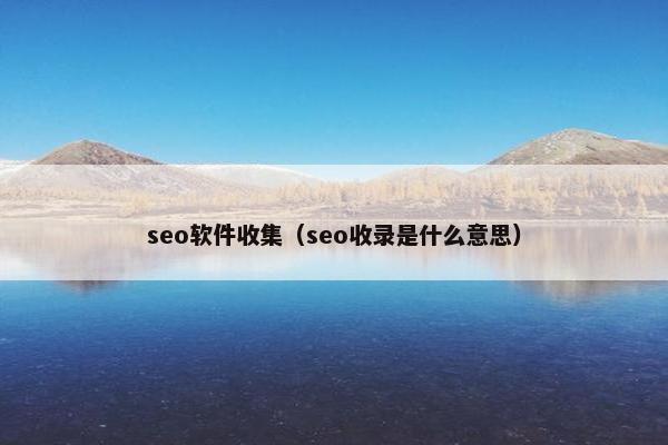 seo软件收集（seo收录是什么意思）