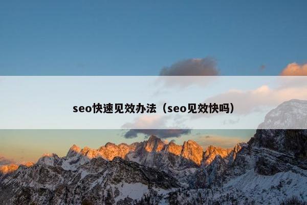 seo快速见效办法（seo见效快吗）