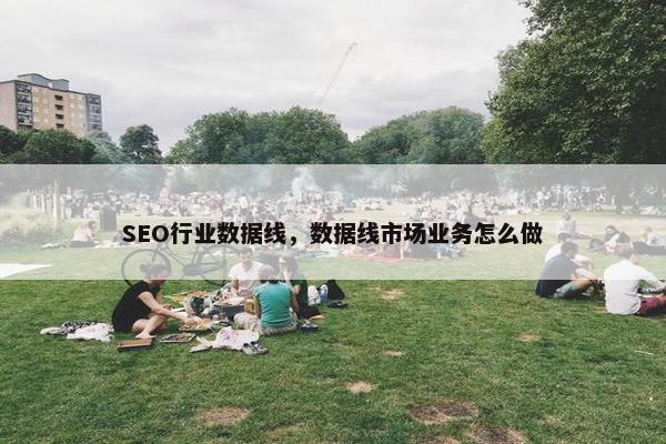 SEO行业数据线，数据线市场业务怎么做