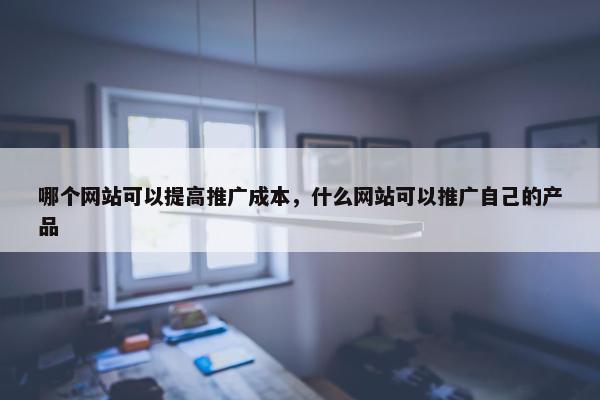 哪个网站可以提高推广成本，什么网站可以推广自己的产品