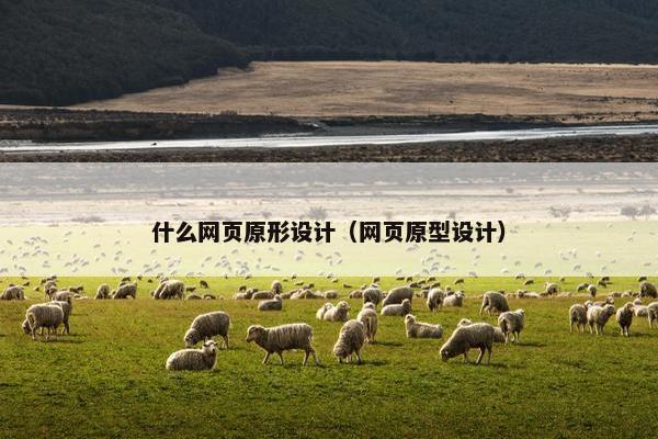什么网页原形设计（网页原型设计）