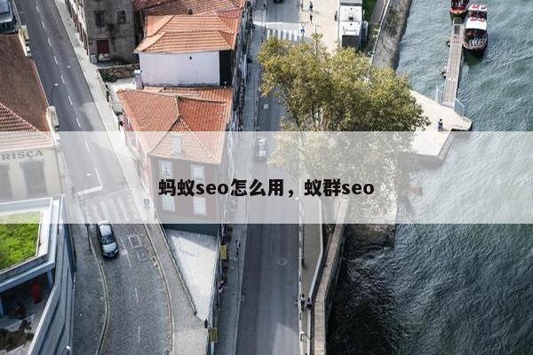 蚂蚁seo怎么用，蚁群seo