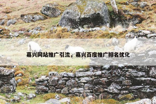 嘉兴网站推广引流，嘉兴百度推广排名优化