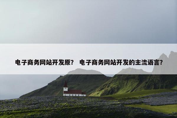 电子商务网站开发原？ 电子商务网站开发的主流语言？