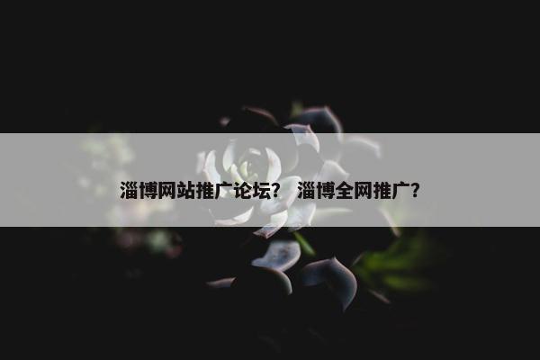 淄博网站推广论坛？ 淄博全网推广？