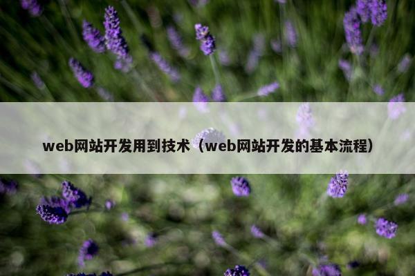 web网站开发用到技术（web网站开发的基本流程）