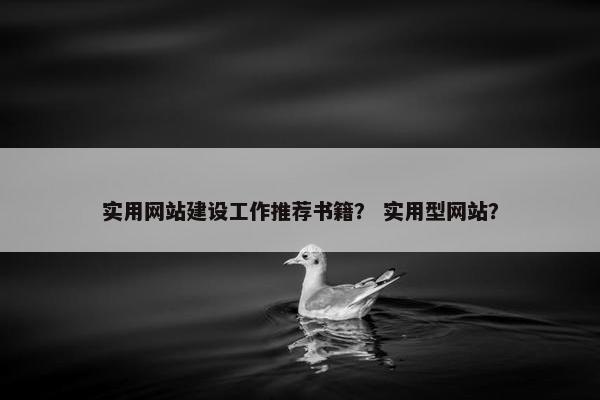 实用网站建设工作推荐书籍？ 实用型网站？