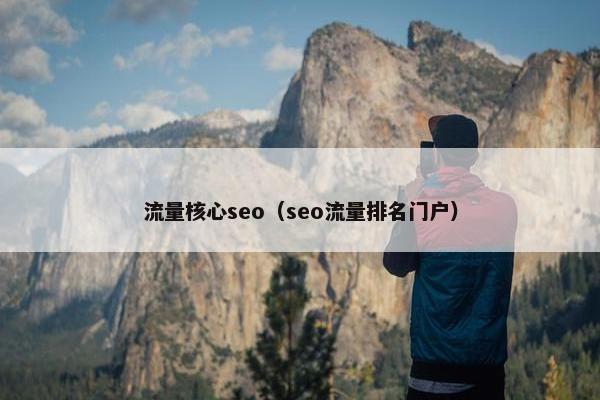 流量核心seo（seo流量排名门户）