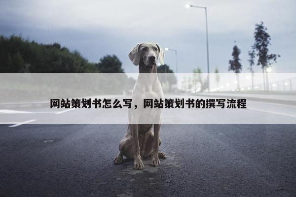 网站策划书怎么写，网站策划书的撰写流程