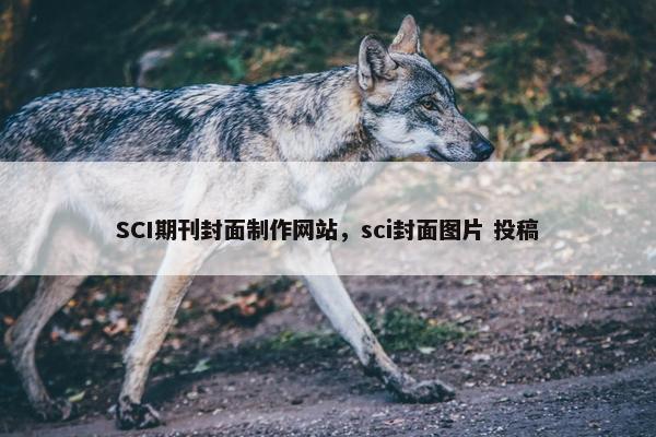 SCI期刊封面制作网站，sci封面图片 投稿