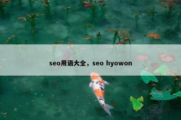 seo用语大全，seo hyowon
