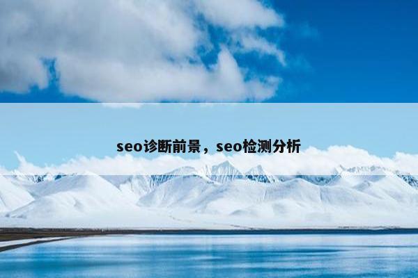 seo诊断前景，seo检测分析