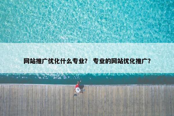网站推广优化什么专业？ 专业的网站优化推广？