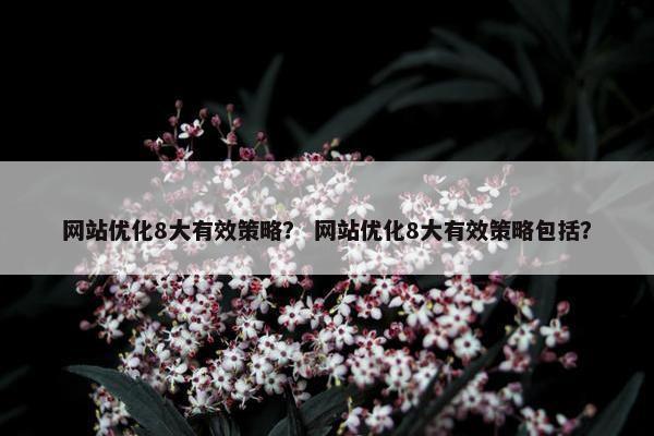 网站优化8大有效策略？ 网站优化8大有效策略包括？
