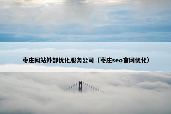 枣庄网站外部优化服务公司（枣庄seo官网优化）