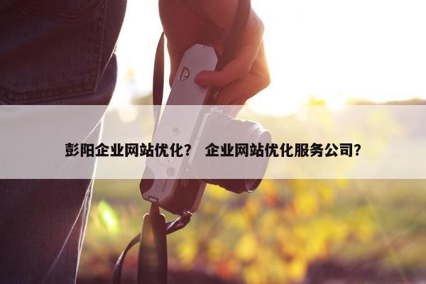 彭阳企业网站优化？ 企业网站优化服务公司？