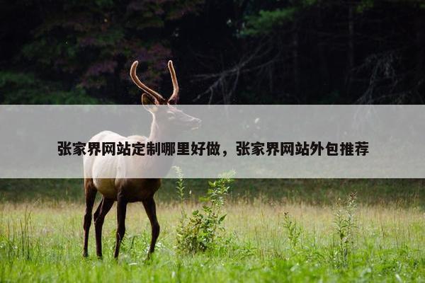 张家界网站定制哪里好做，张家界网站外包推荐