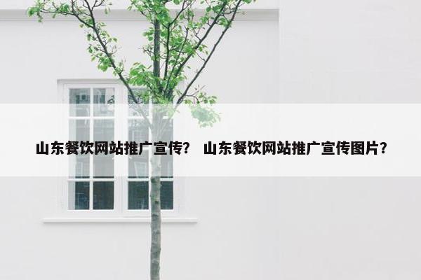 山东餐饮网站推广宣传？ 山东餐饮网站推广宣传图片？