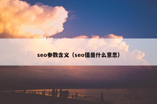 seo参数含义（seo值是什么意思）