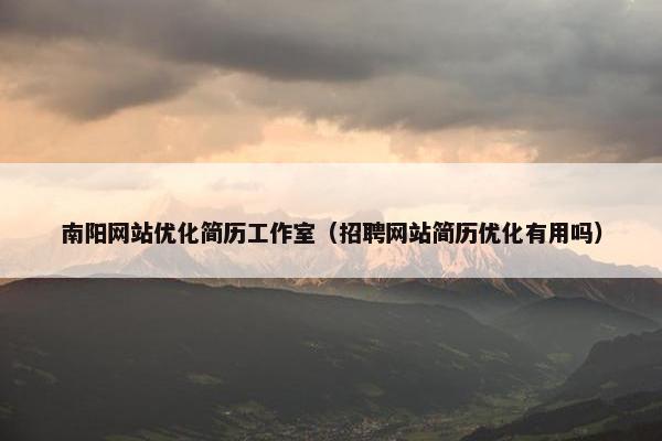 南阳网站优化简历工作室（招聘网站简历优化有用吗）