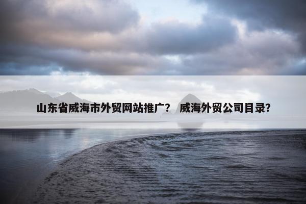山东省威海市外贸网站推广？ 威海外贸公司目录？