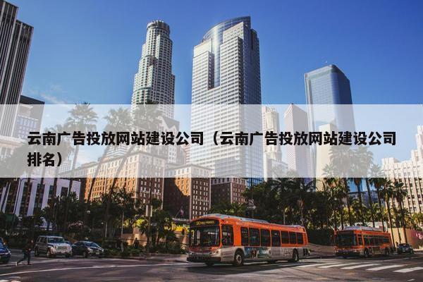 云南广告投放网站建设公司（云南广告投放网站建设公司排名）
